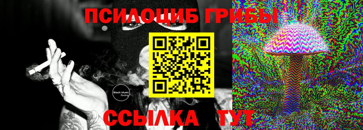 Псилоцибиновые грибы Psilocybe Советский