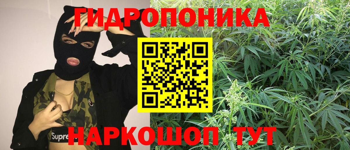 Шишки марихуана Bruce Banner  Шишки марихуана THC 21%  Вход с VPN  Советский 